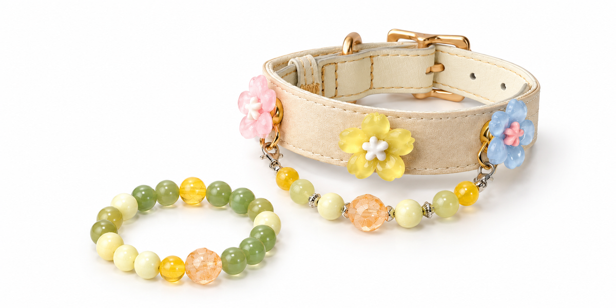 Bracelet & Collar Sets