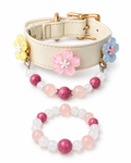 Rhodonite Pet Collar & Bracelet Set
